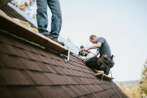 Professional Roofing Contractor in Gruetli Laager, TN