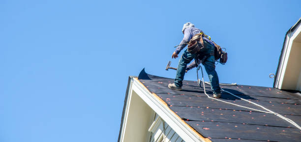 Best Gutter Installation and Roofing  in Gruetli Laager, TN